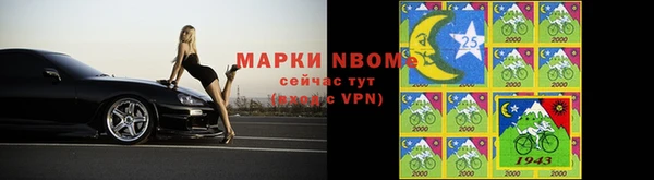 прущие крисы Кулебаки