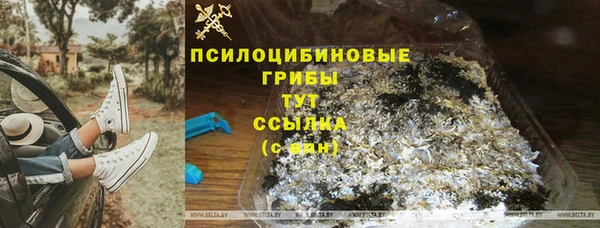 прущие крисы Кулебаки