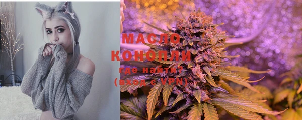 прущие крисы Кулебаки