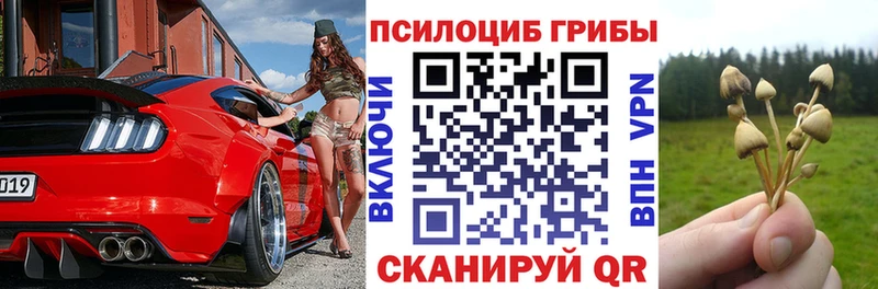 Псилоцибиновые грибы GOLDEN TEACHER  Купить  Баксан 